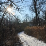 One of The Grove trails near the Redfield House. 