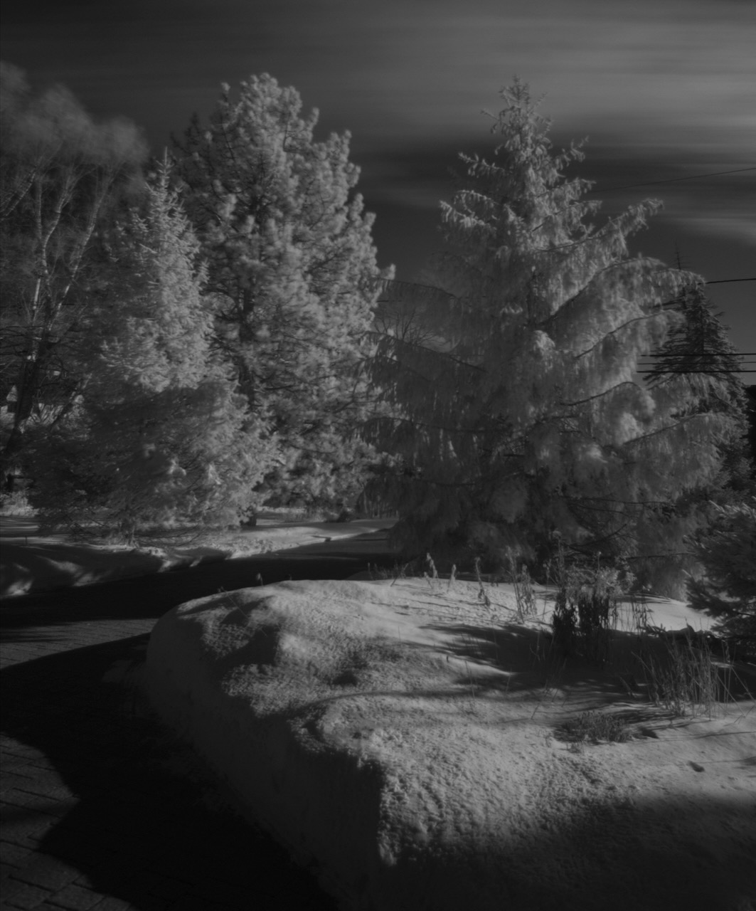 Get an Infrared Filter to create snow